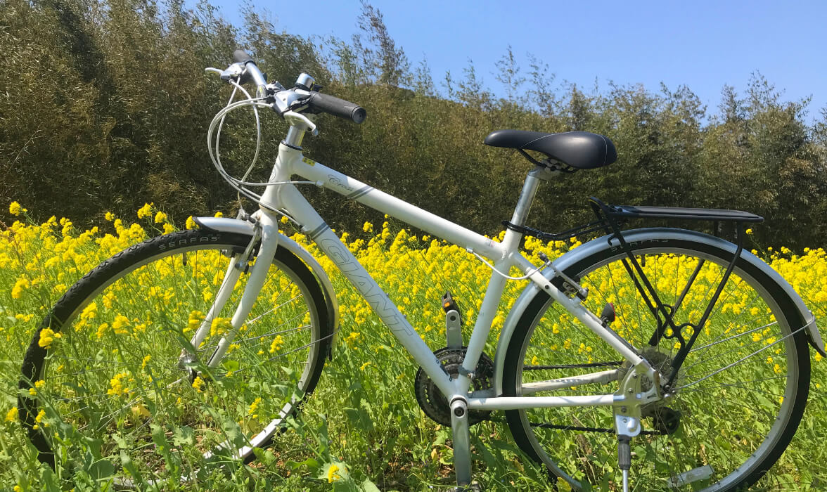 レンタサイクル