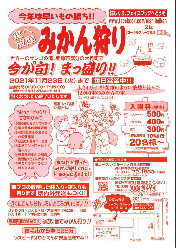 大人気 ミカン狩り開始 彡 一般社団法人 大月町観光協会 海 山 空 原色の風景を見にいこう